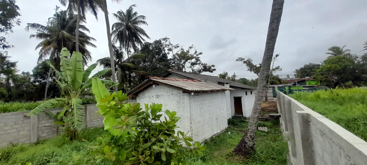 House with Land for sale Elakandha Wattala