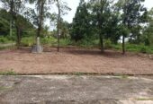 Land Sale in කලගෙඩිහෙන රෝසවත්ත