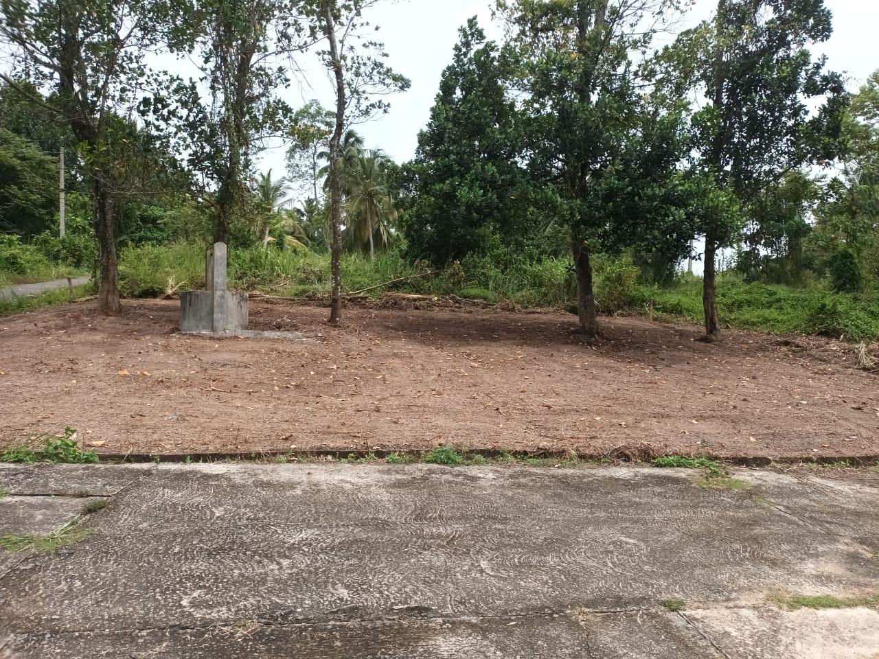 Land Sale in කලගෙඩිහෙන රෝසවත්ත