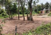 Land Sale in කලගෙඩිහෙන රෝසවත්ත