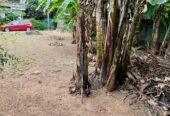 Land for Sale Ragama Kadawatha
