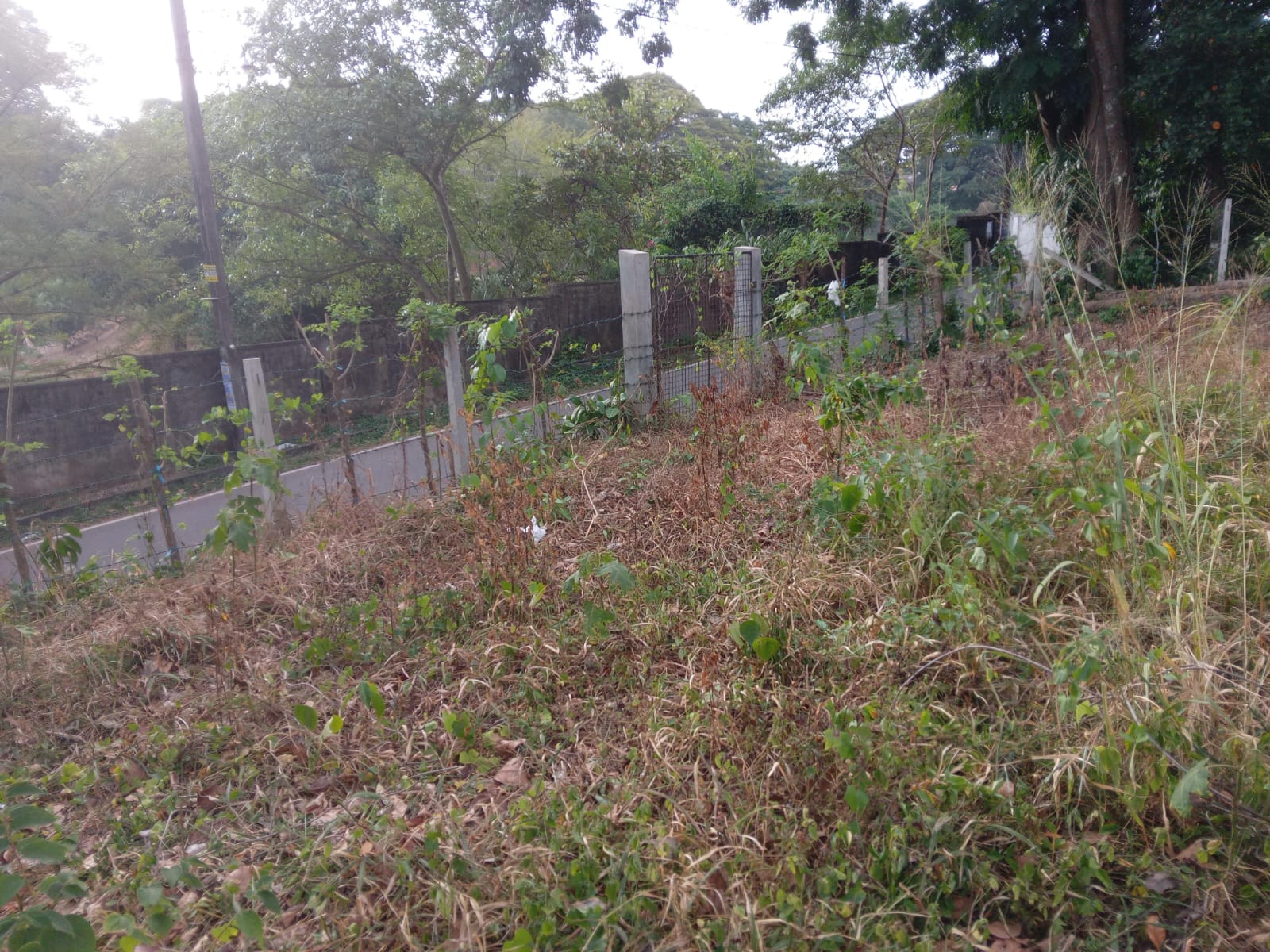 Ragama Land for Sale