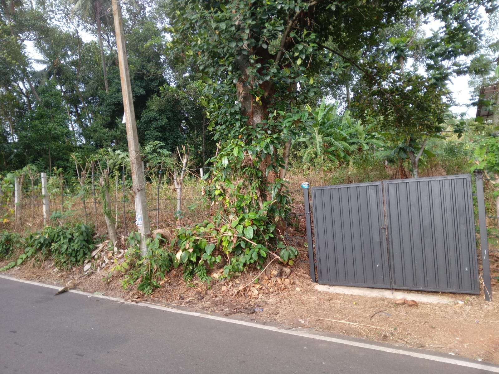 Ragama Land for Sale