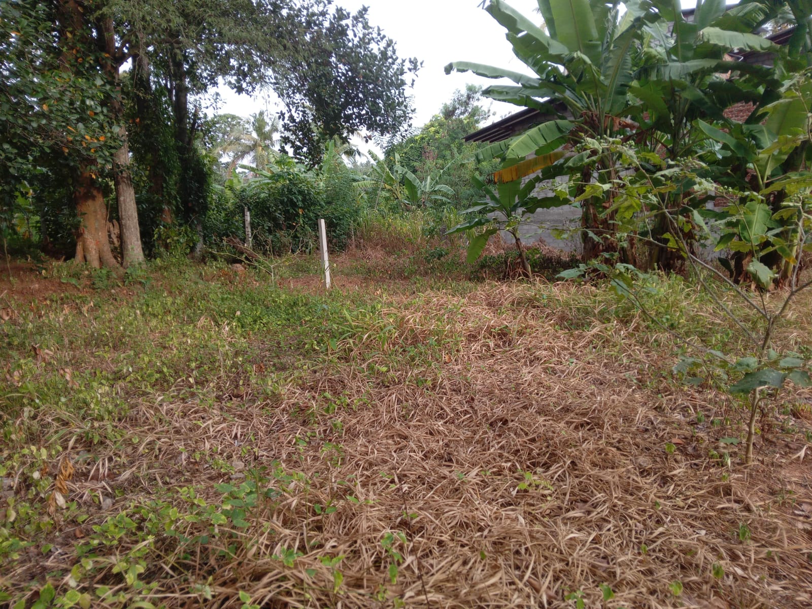 Ragama Land for Sale