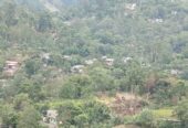 Land For Sale Bandarawela