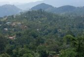 Land For Sale Bandarawela