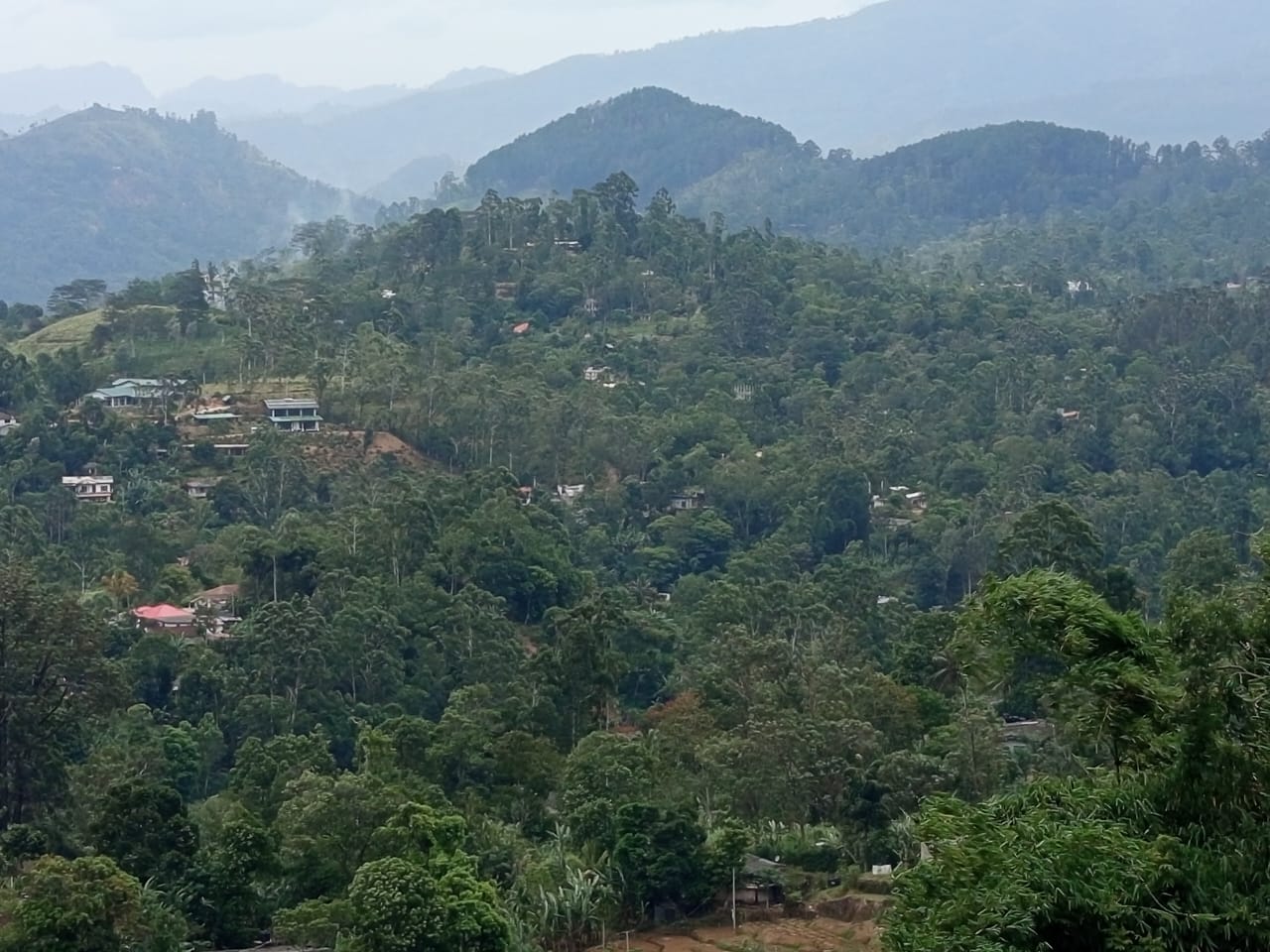 Land For Sale Bandarawela