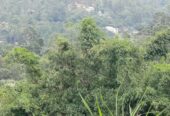 Land For Sale Bandarawela