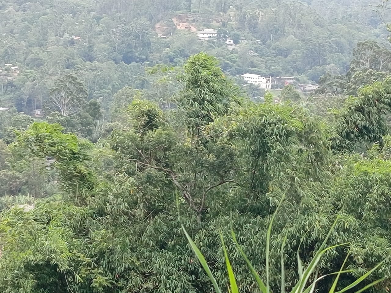 Land For Sale Bandarawela