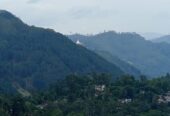 Land For Sale Bandarawela