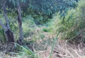 Land For Sale Bandarawela