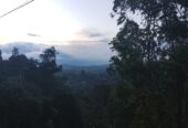 Land For Sale Bandarawela