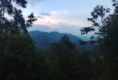 Land For Sale Bandarawela