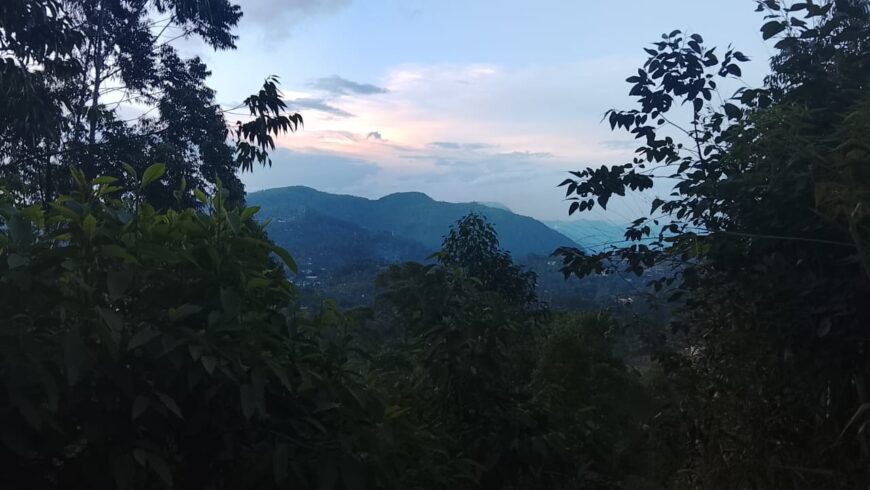 Land For Sale Bandarawela