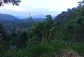 Land For Sale Bandarawela