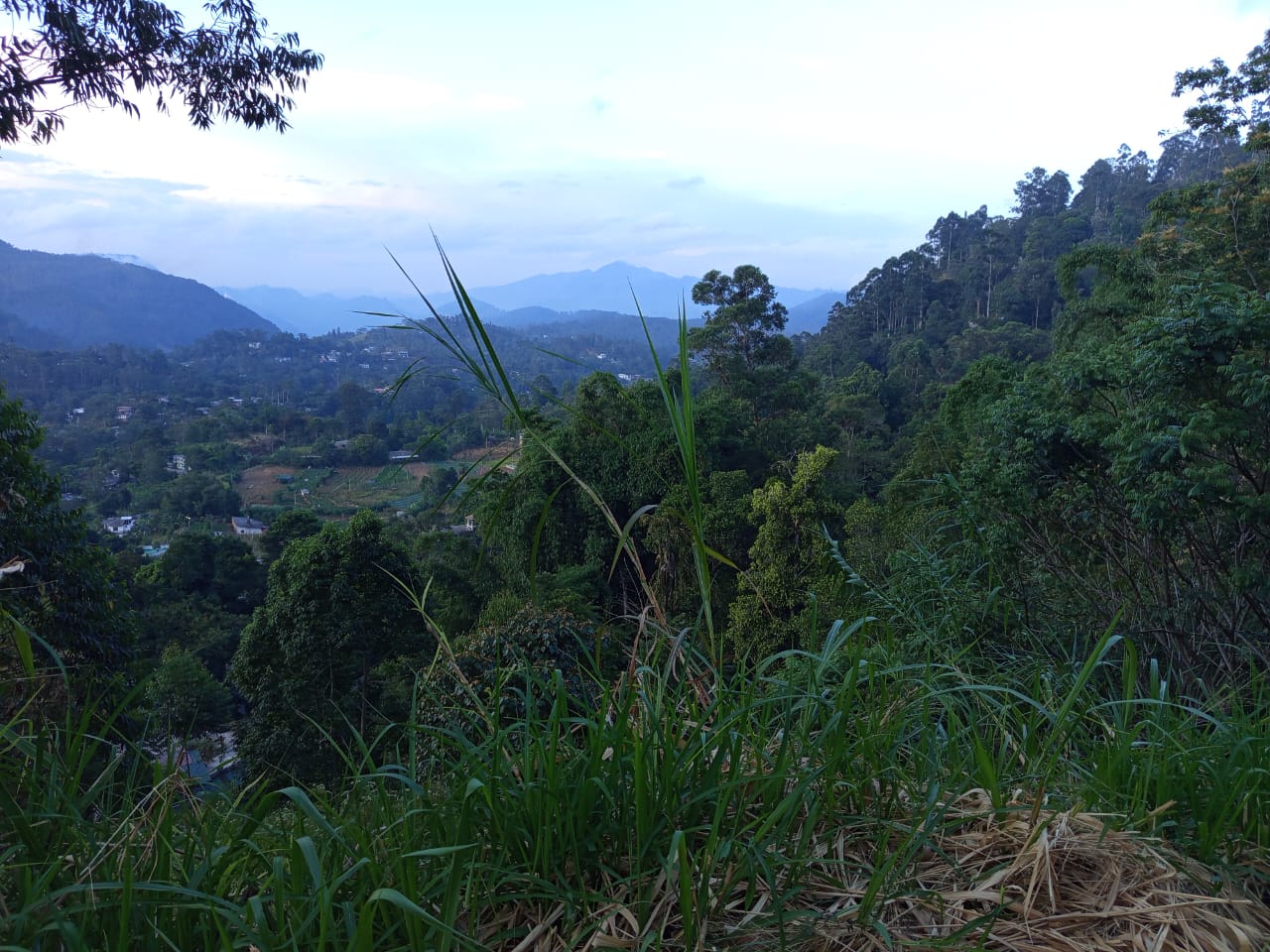 Land For Sale Bandarawela