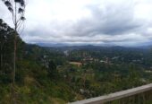 Land For Sale Bandarawela