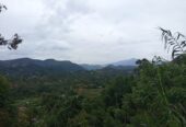 Land For Sale Bandarawela