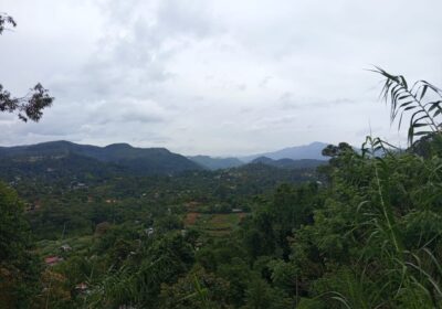 Land For Sale Bandarawela