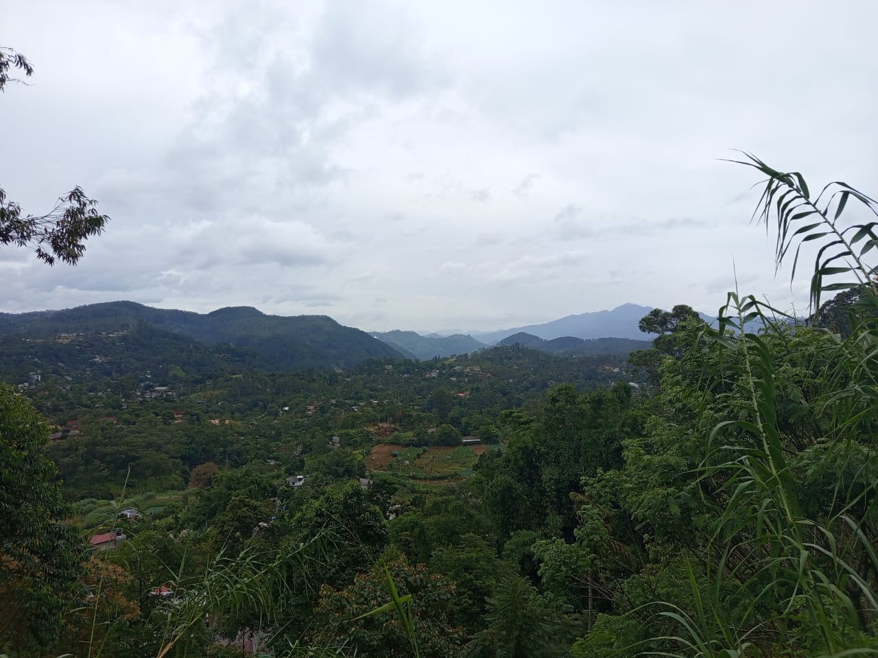 Land For Sale Bandarawela