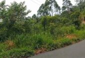 Land For Sale Bandarawela