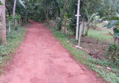 Land for Sale Kalagedihena
