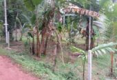 Land for Sale Kalagedihena
