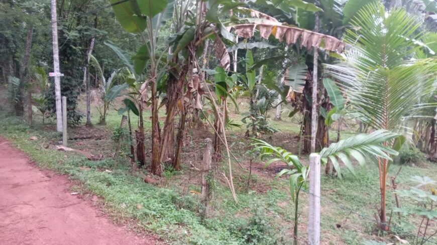 Land for Sale Kalagedihena
