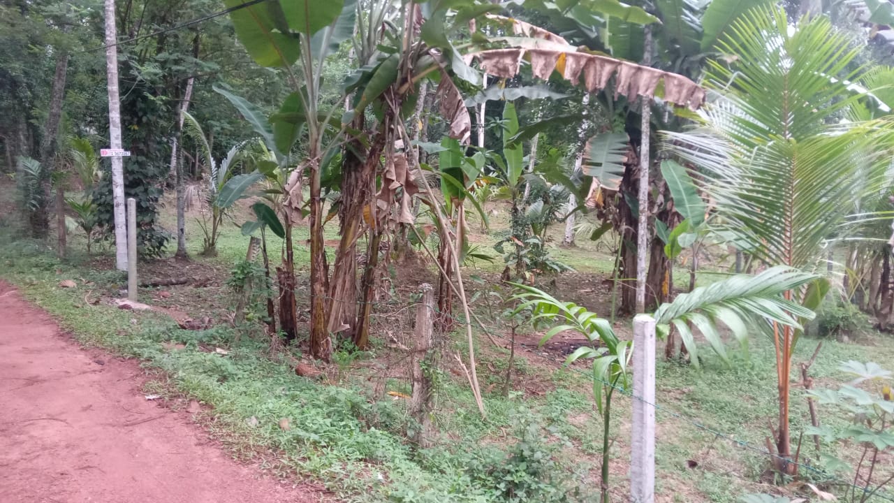 Land for Sale Kalagedihena