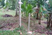 Land for Sale Kalagedihena