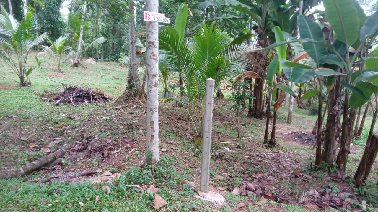 Land for Sale Kalagedihena