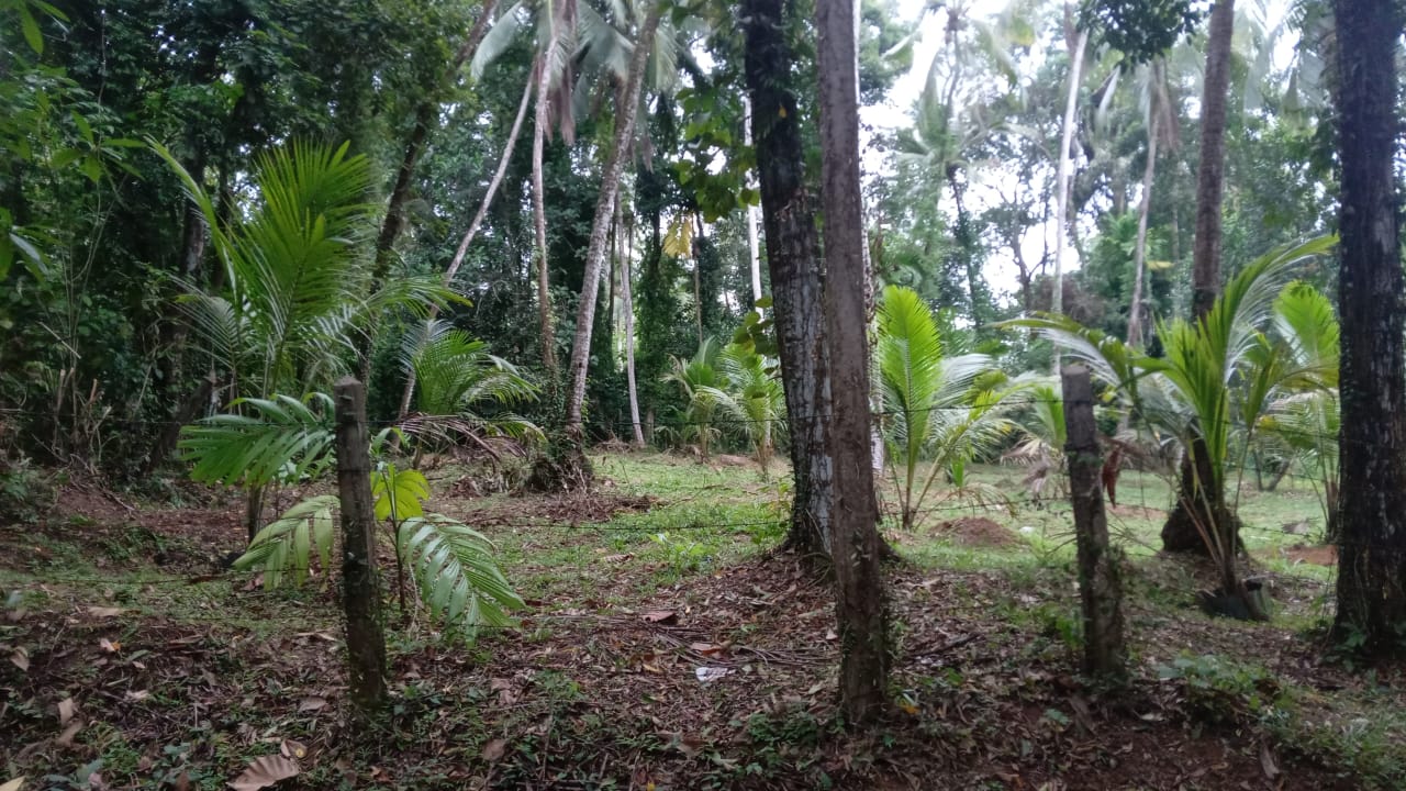 Land for Sale Kalagedihena
