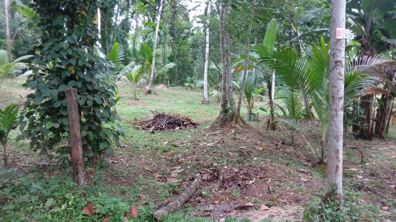 Land for Sale Kalagedihena