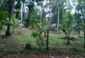 Land for Sale Kalagedihena