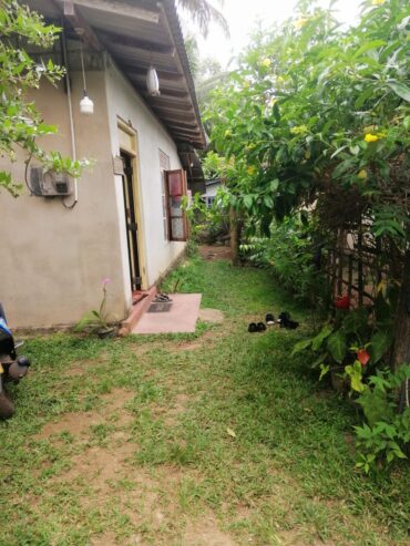 House for Sale Newdawa