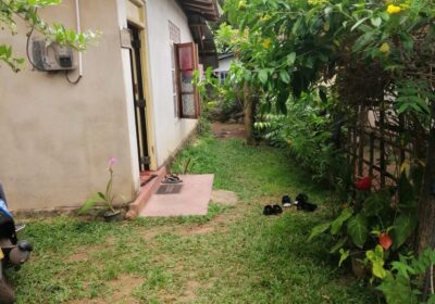 House for Sale Newdawa