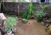 House for Sale Newdawa
