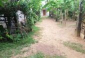 House for Sale Newdawa