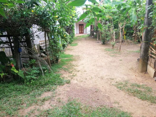 House for Sale Newdawa