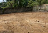 Land in Pushparama Rd Mahara Kadawatha Sale