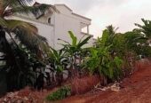 Siyabalagoda Land for Sale