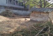 Land for Sale in Tissa Katharagama Main Road