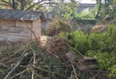 Land for Sale in Tissa Katharagama Main Road