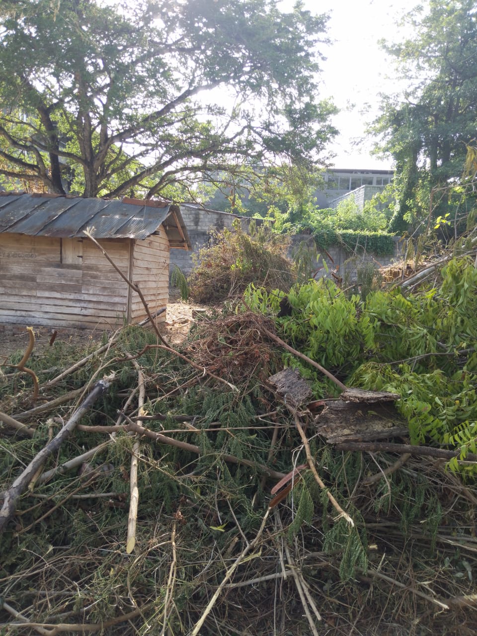 Land for Sale in Tissa Katharagama Main Road