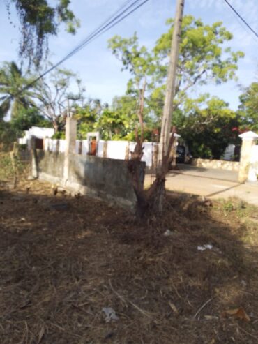 Land for Sale in Tissa Katharagama Main Road
