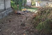 Land for Sale in Tissa Katharagama Main Road