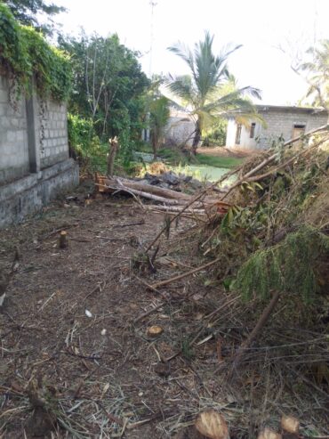 Land for Sale in Tissa Katharagama Main Road