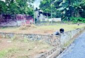 Land for Sale in Biyagama /බියගම වෙළද කලාපයට 300m දුරින් වටිනා ඉඩමක්