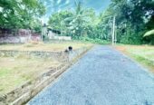 Land for Sale in Biyagama /බියගම වෙළද කලාපයට 300m දුරින් වටිනා ඉඩමක්