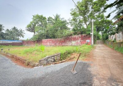Land for Sale in Biyagama /බියගම වෙළද කලාපයට 300m දුරින් වටිනා ඉඩමක්